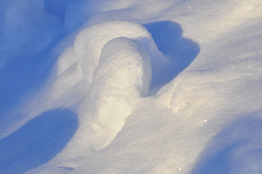 Similar image 21721534