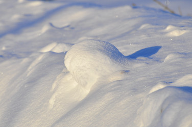 Similar image 21721535