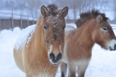 Similar image 21721536