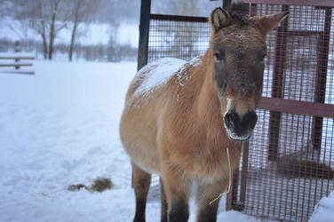 Similar image 21721538