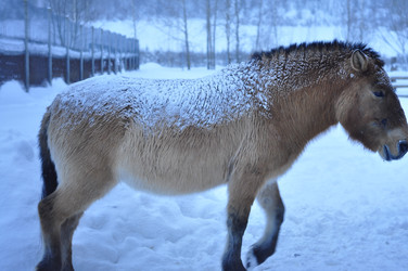 Similar image 21721540