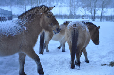 Similar image 21721541