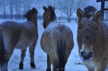 Similar image 21721542