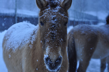 Similar image 21721543