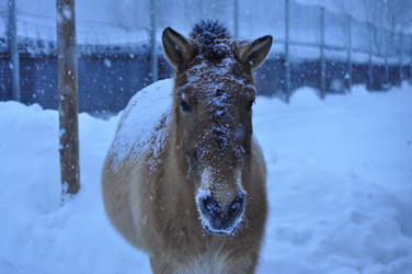 Similar image 21721544