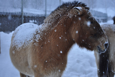 Similar image 21721545