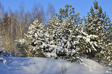 Similar image 21721546