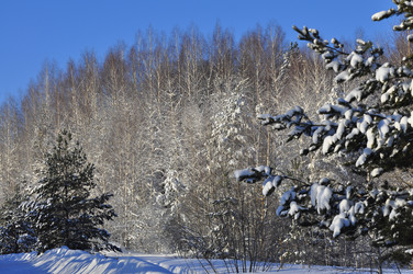 Similar image 21721547