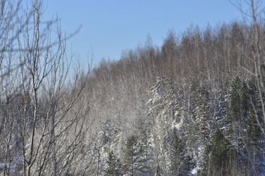 Similar image 21721549