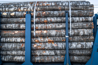 Similar image 21721557