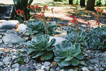 Similar image 21747877