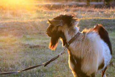 Similar image 21747878