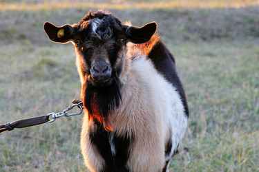 Similar image 21747879