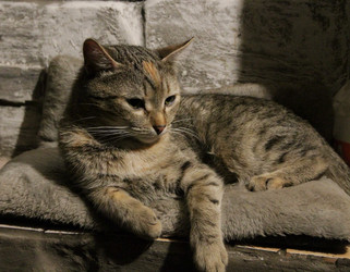 Similar image 21747880