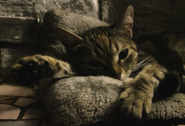 Similar image 21747881