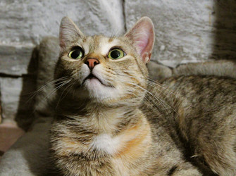 Similar image 21747882