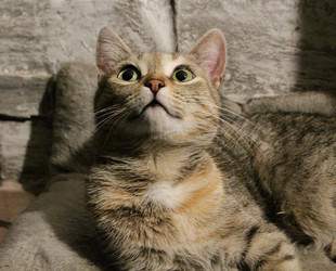 Similar image 21747883