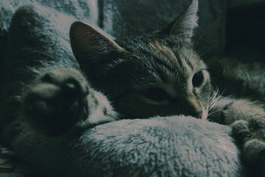 Similar image 21747884