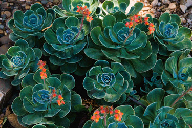 Similar image 21747885