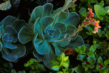 Similar image 21747887