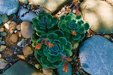 Similar image 21747888