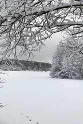 Similar image 21762888