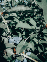 Similar image 21745611