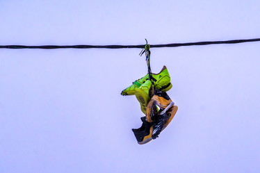 Similar image 21720677