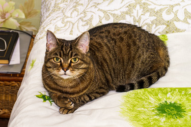 Similar image 21720684