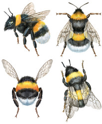 Similar image 21745620