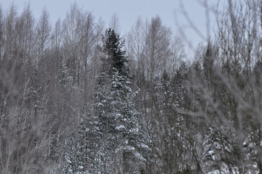 Similar image 21721799