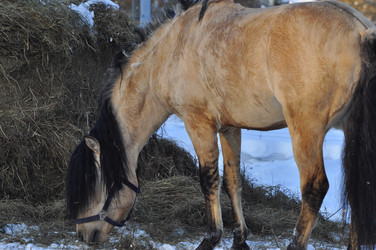 Similar image 21721800