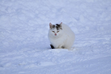 Similar image 21721801