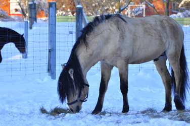 Similar image 21721813