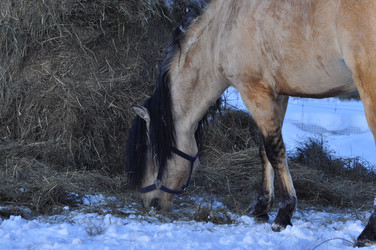 Similar image 21721814