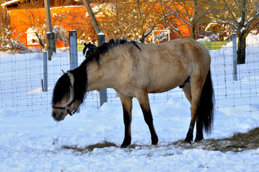 Similar image 21721815