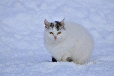 Similar image 21721863