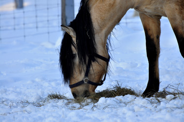 Similar image 21721864