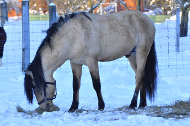 Similar image 21721865