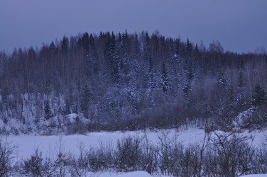 Similar image 21721866