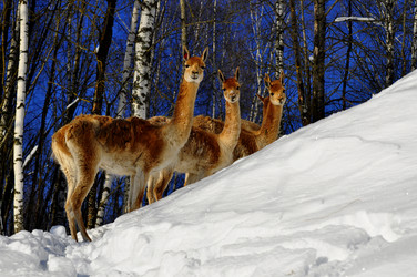 Similar image 21721867