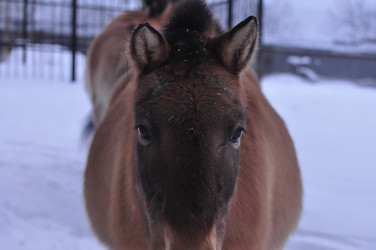 Similar image 21721869