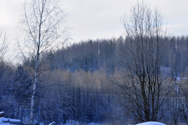 Similar image 21721870