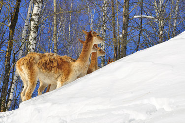 Similar image 21721572