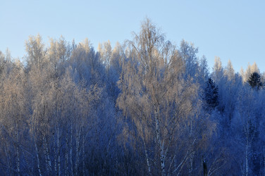 Similar image 21721573