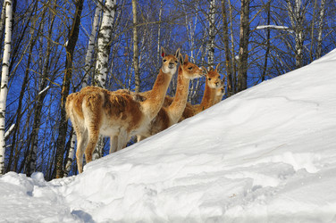 Similar image 21721574