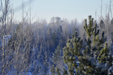 Similar image 21721577