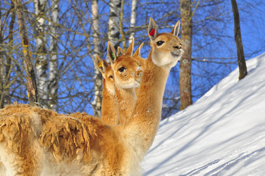 Similar image 21721578