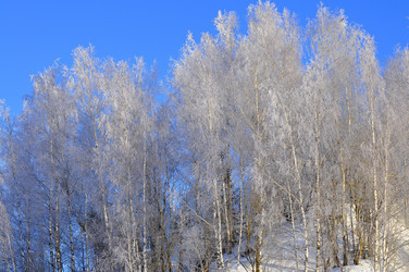 Similar image 21721579