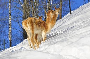 Similar image 21721580